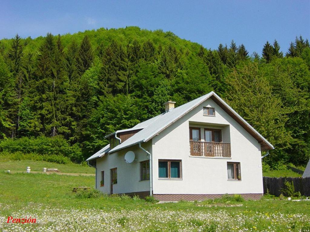 Kordíky