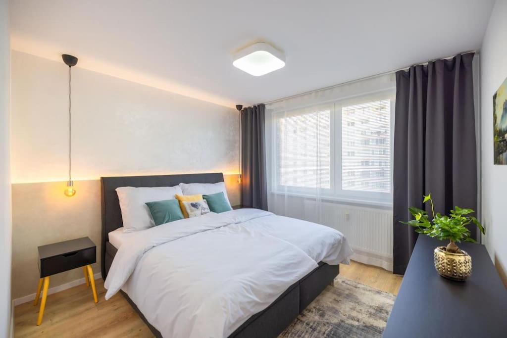 Ice hockey 2 bedroom apartment