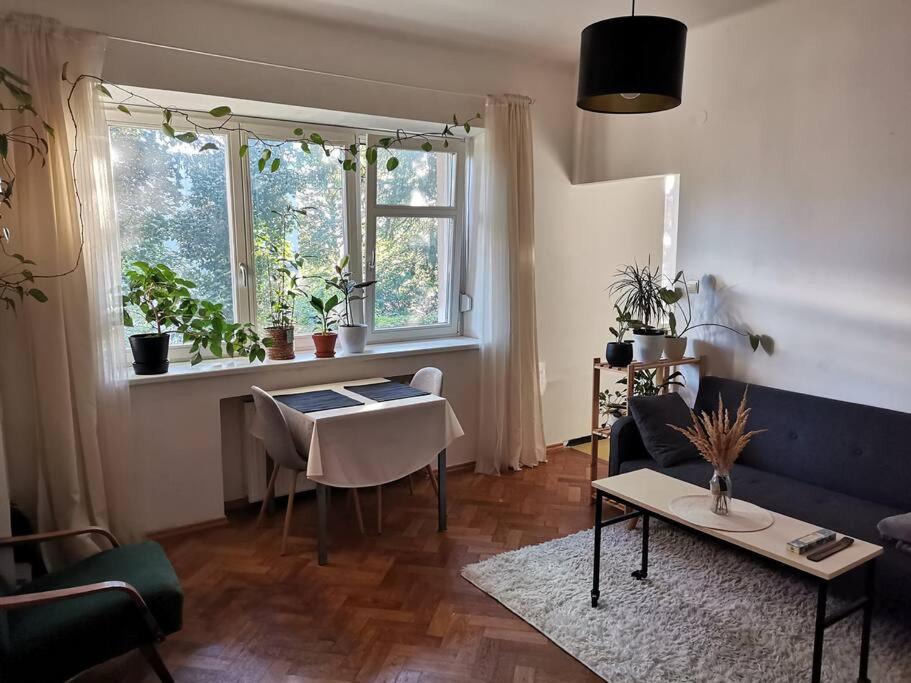 Cozy studio in the City centre near train station