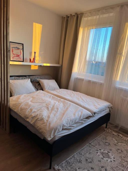 Sofia Apartment