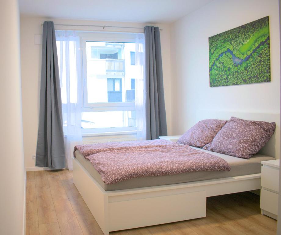 Brand new apartment by hockey stadium